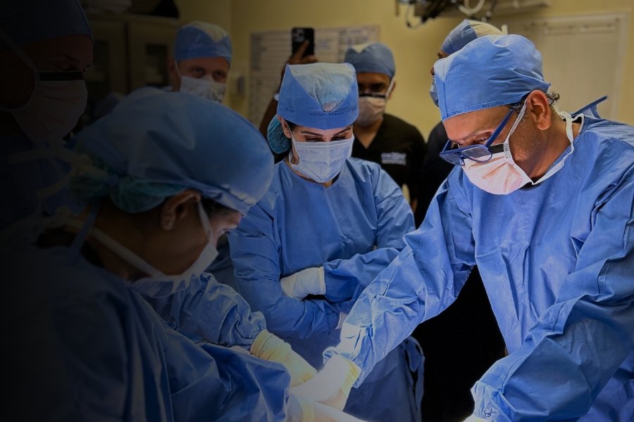 Aesthetic Surgery Fellowship In Dubai