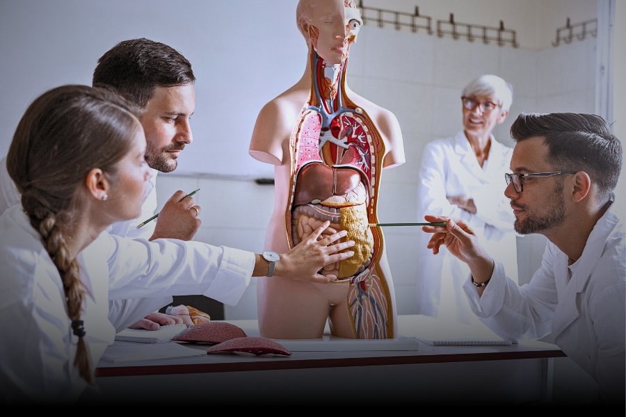 Fellowship in Liposuction and Body Contouring In Dubai